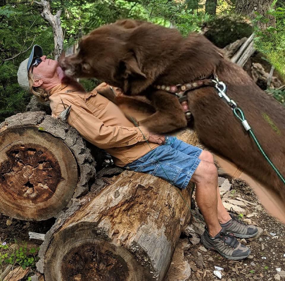 Readers pet photos